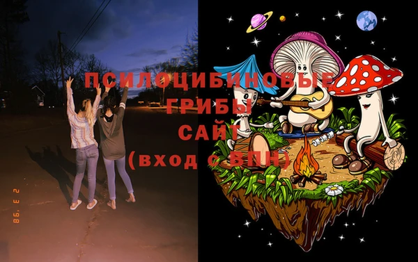 молекула духа Балахна