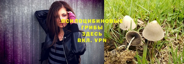 молекула духа Балахна